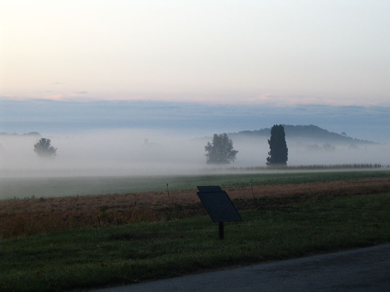 Pitzers Woods 2009 001