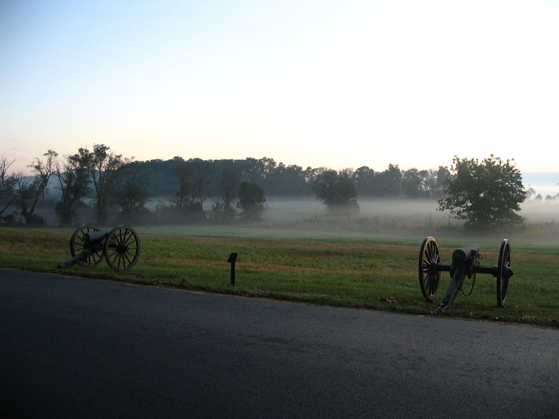 Pitzers Woods 2009 006
